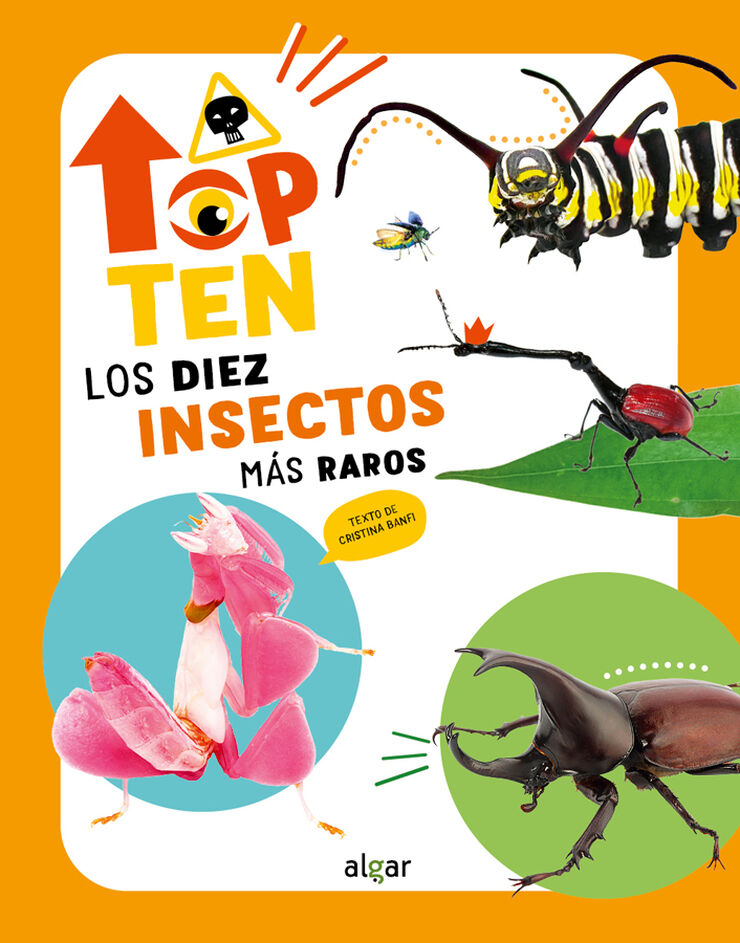 Top Ten Los diez insectos m&aacute;s raros