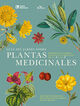 Gu&iacute;a del jard&iacute;n sobre plantas medicinales