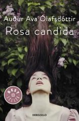 Rosa c&aacute;ndida