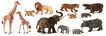 Animales salvajes con cr&iacute;as 12 uniades