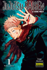 Jujutsu kaisen 01 Catal&agrave;