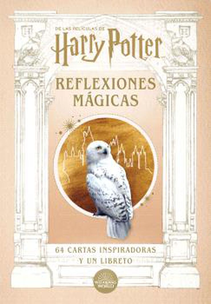 Harry Potter: reflexiones m&aacute;gicas