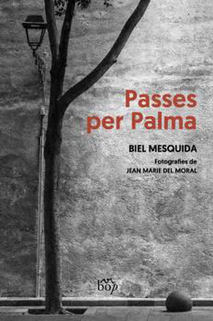 Passes per Palma
