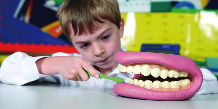 Dentadura gigante con cepillo