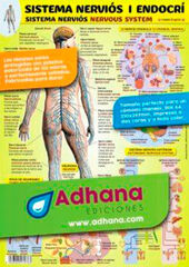 Adhac sistema nervi&oacute;s/endocr&iacute;