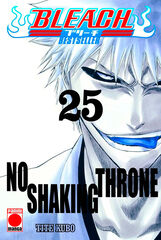 Bleach Bestseller 25