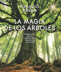 La magia de los &aacute;rboles