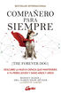 Compa&ntilde;ero para siempre (The forever dog)