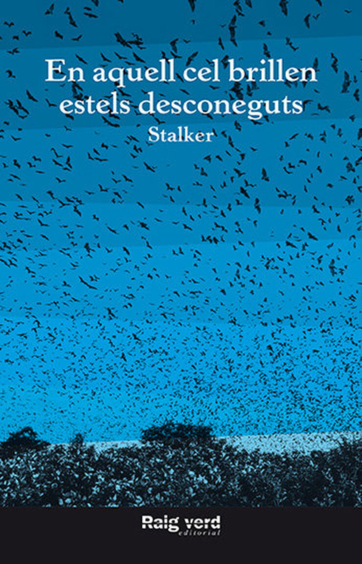 En aquell cel brillen estels desconeguts