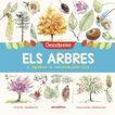 Descobreixo els arbres i aprenc a recon&egrave;ixer-los