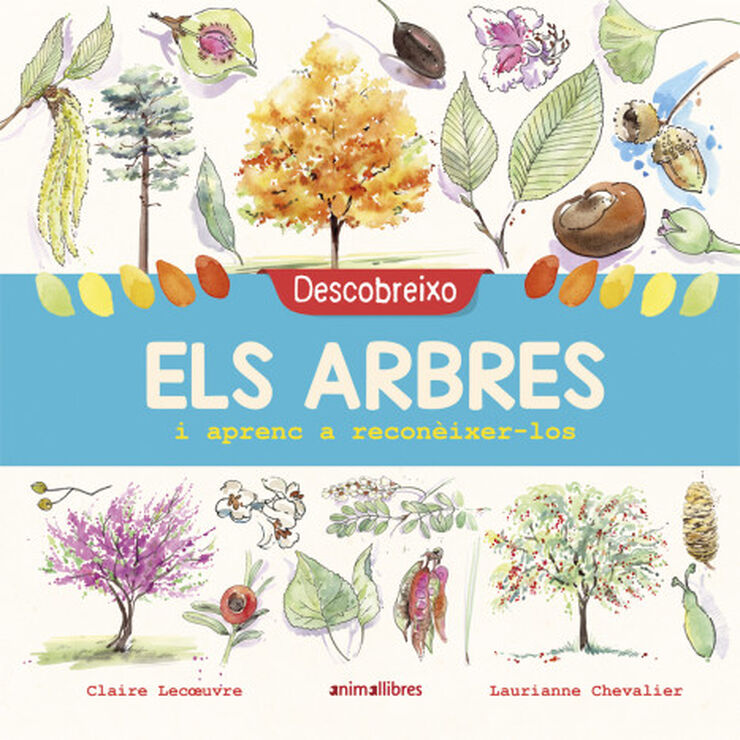Descobreixo els arbres i aprenc a recon&egrave;ixer-los