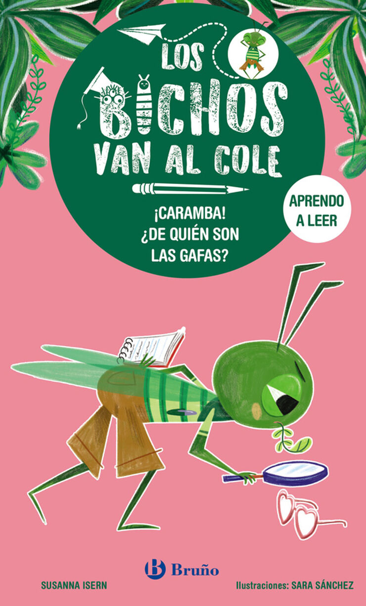 Los bichos van al cole, 3. &iexcl;Caramba! &iquest;De qui&eacute;n son las gafas?