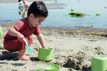 Regadera y accesorios