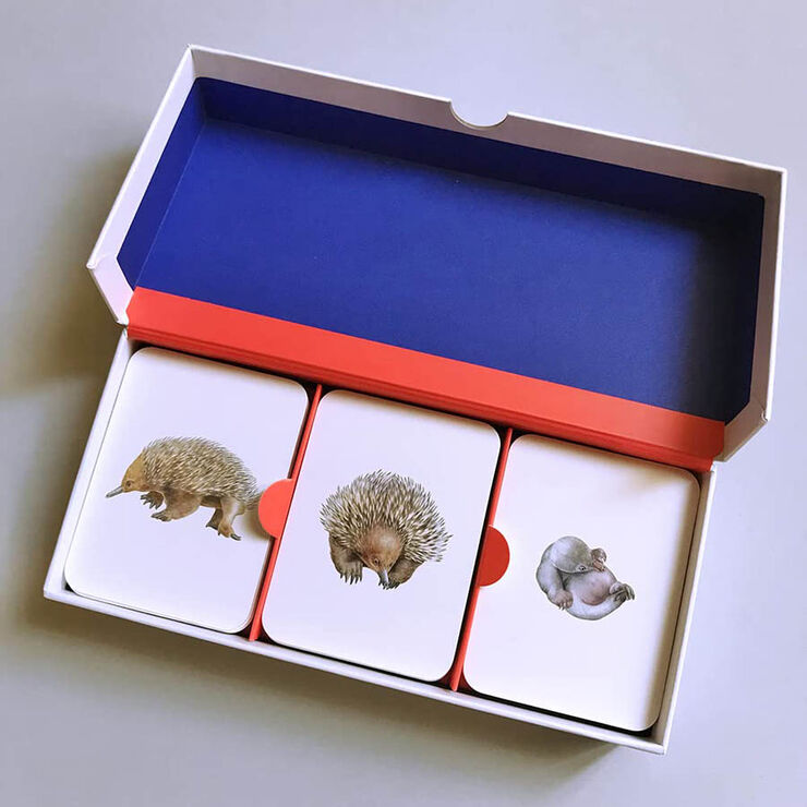 Fam&iacute;lies animals